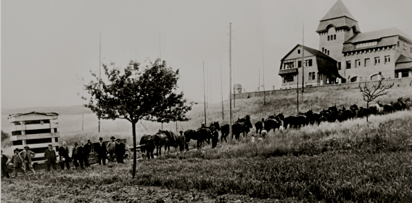 Im Jahr 1909 zogen 22 Pferde den ersten Trafo zur Netzleitstelle der EKS auf dem Galgenbuck in Neuhausen am Rheinfall